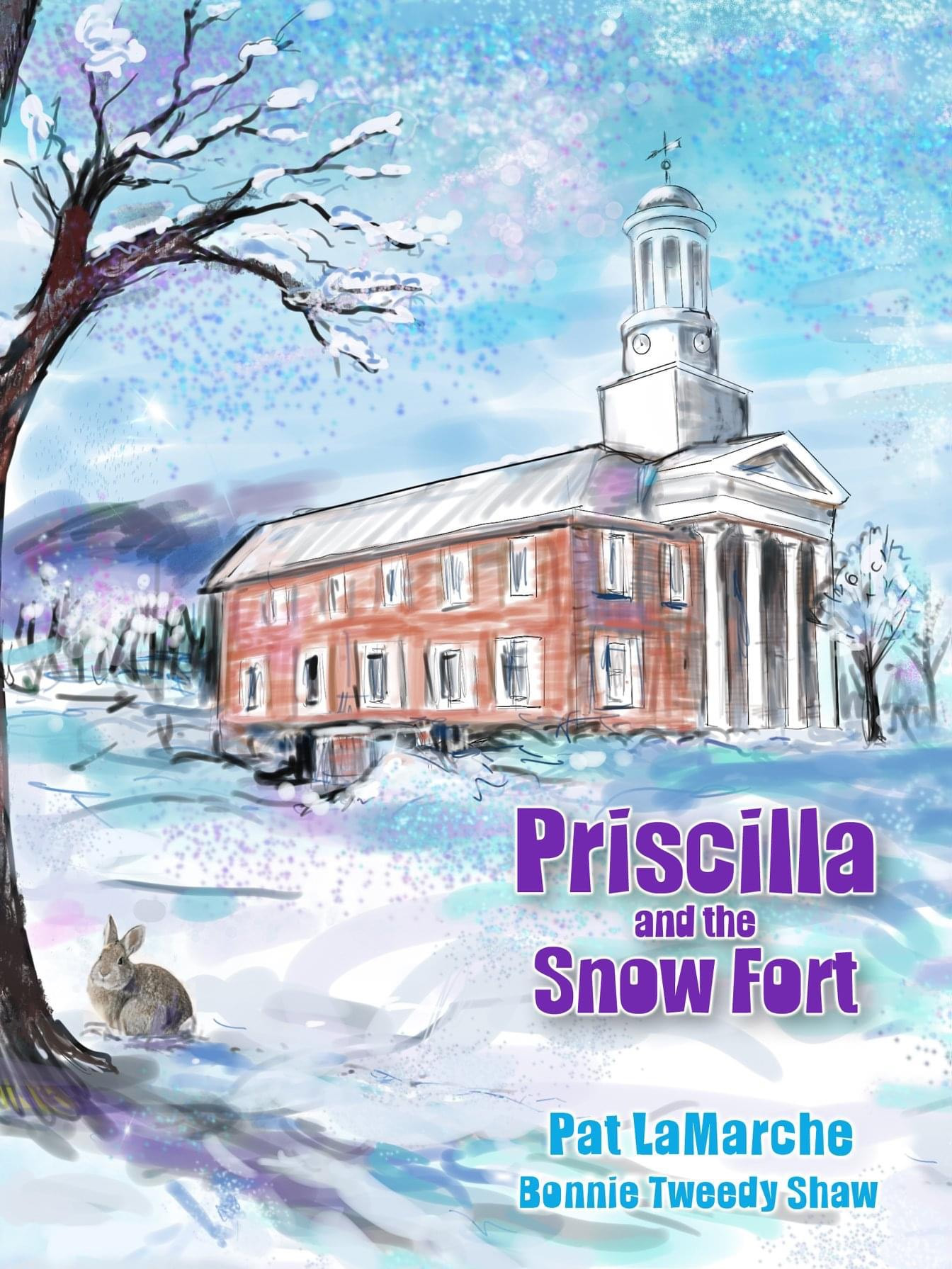 Priscilla snow fort cover